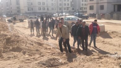 3 محاور لتحسين النظافة والتجميل.. جهاز حدائق العاشر يطلق خطة مكثفة لرفع كفاءة - إيجي بيزنس 5 501eae - إيجي بيزنس