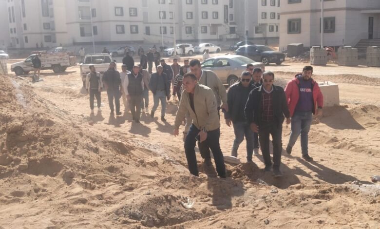 3 محاور لتحسين النظافة والتجميل.. جهاز حدائق العاشر يطلق خطة مكثفة لرفع كفاءة - إيجي بيزنس 5 501eae - إيجي بيزنس