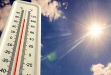 5795525381707298917 2f5361 - إيجي بيزنس