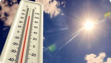 الطقس اليوم الأربعاء 31-12-2025.. أجواء شديد البرودة ليلا وشبورة كثيفة - إيجي بيزنس 5795525381707298917 2f5361 - إيجي بيزنس