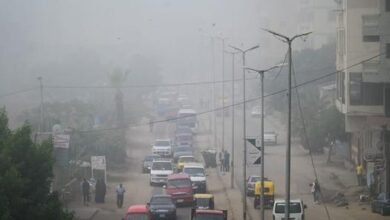 الطقس اليوم.. أجواء شديد البرودة وانخفاض بالحرارة والصغري بالقاهرة 11 درجة - إيجي بيزنس 6646744701699253977 d34f5d - إيجي بيزنس