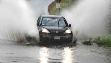 "وحوش على الطريق".. إعرف أفضل سيارات لمواجهة الأمطار في مصر - إيجي بيزنس 912 03529b - إيجي بيزنس