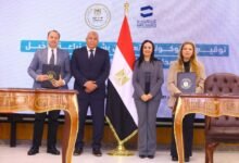 «النداء» تطلق مشروعين إنتاجيين في الوادي الجديد لتعزيز التشغيل والتصدير - إيجي بيزنس untitled 86e441 - إيجي بيزنس